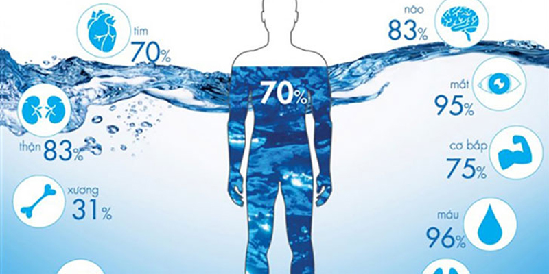 Tỷ trọng nước trong cơ thể người ra sao?
